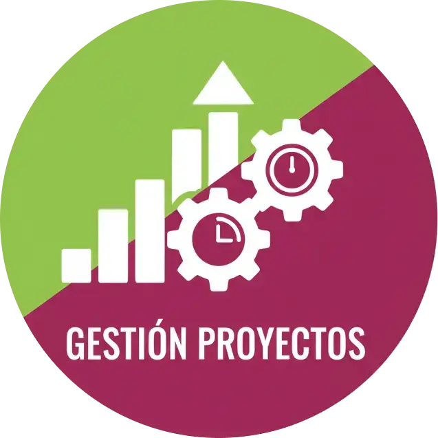Gestión Proyectos