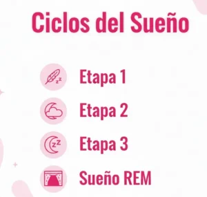 La Ciencia de los Ciclos del Sueño