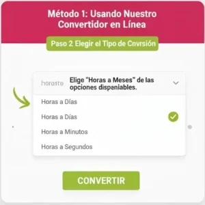 Paso 2 Elegir el Tipo de Conversión