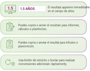 Paso 3 Visualiza y Usa el Resultado