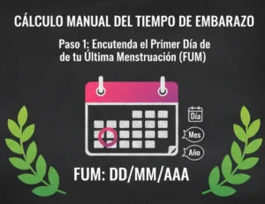 Cálculo Manual del Tiempo de Embarazo