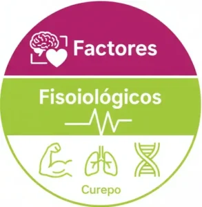 Factores Fisiológicos