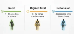 Modelos de Evaluación de la Rigidez Cadavérica