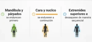 Paso 2: Observar el Patrón de Progresión