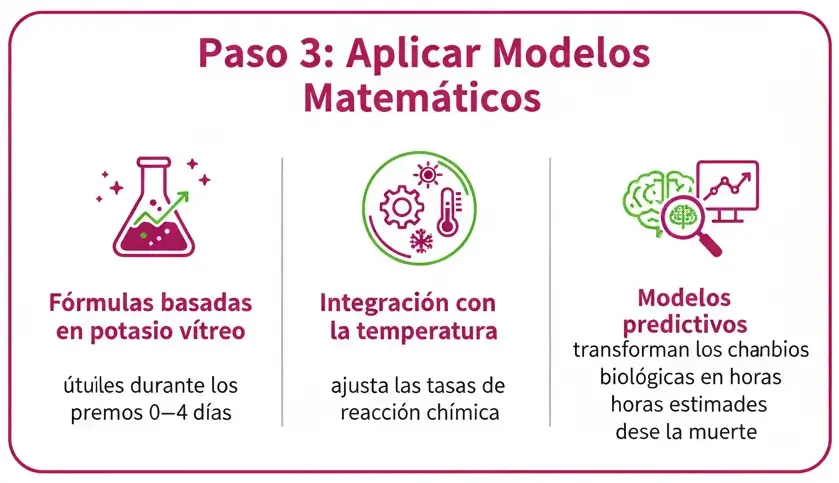 Paso 3 Aplicar Modelos Matemáticos