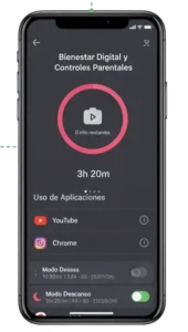 Paso 3 Establece Límites y Metas