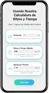 Paso 1: Ingresa los Detalles de la Carrera